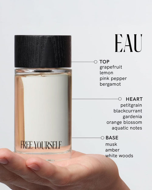 Top, Heart, and Base notes.