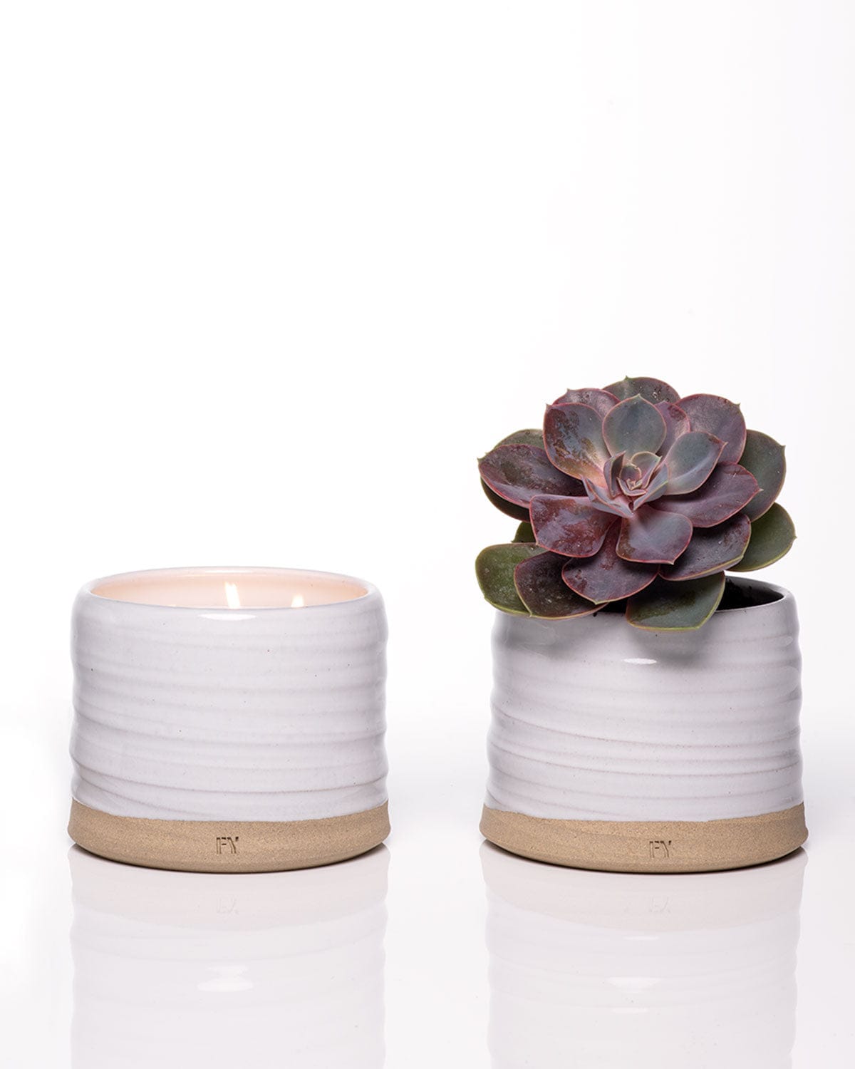 Handpoured Vermont candles and succulent in white ceramic.