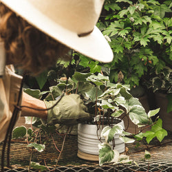 Father's Day gardener tending plants