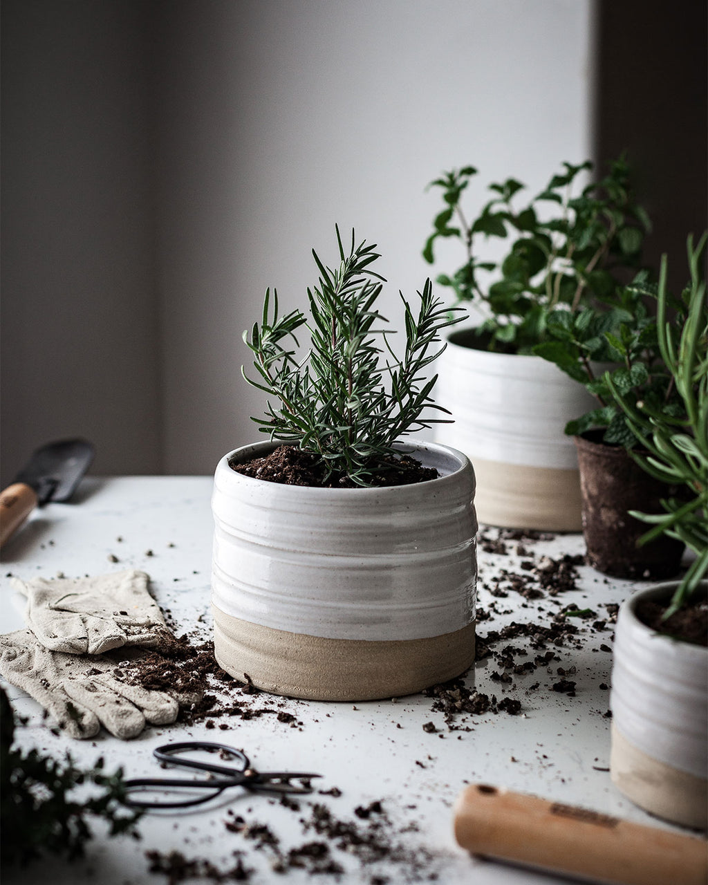 Terre — Candle