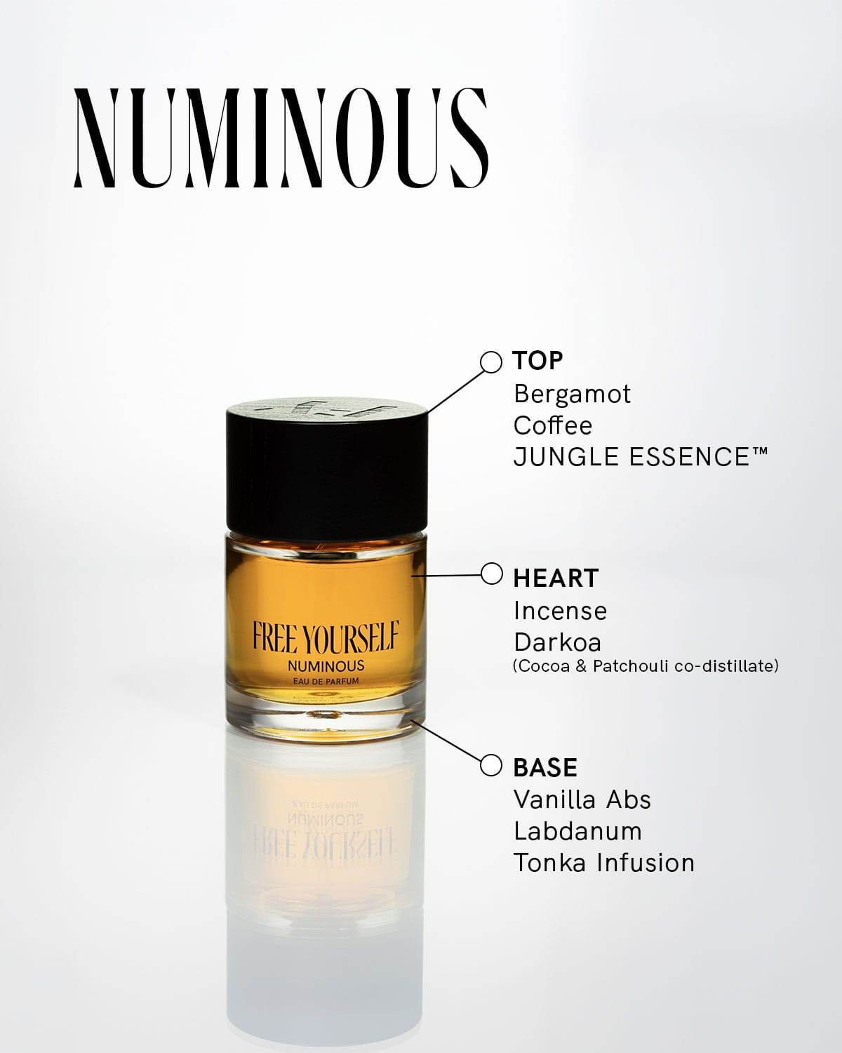 NUMINOUS — Eau de Parfum, Unisex Fragrance